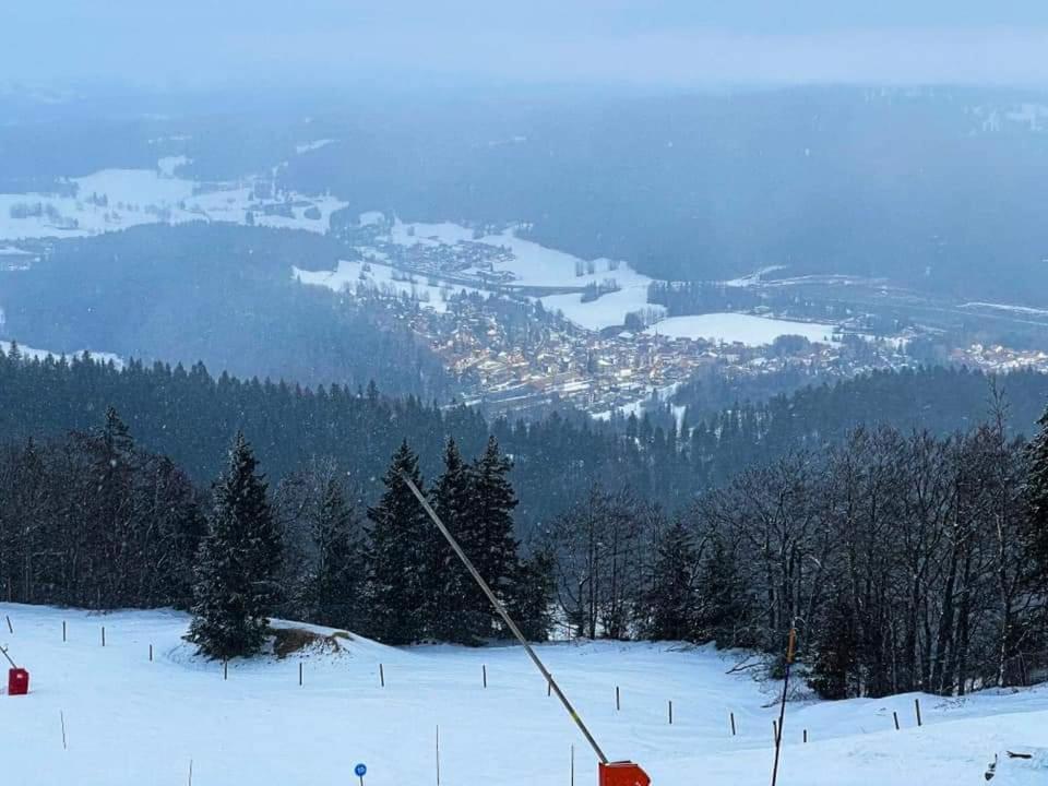 Métabief Place Royale Pour 10 A 12 Personnes A 30 Met Des Pistes De Ski Et Vtt מראה חיצוני תמונה