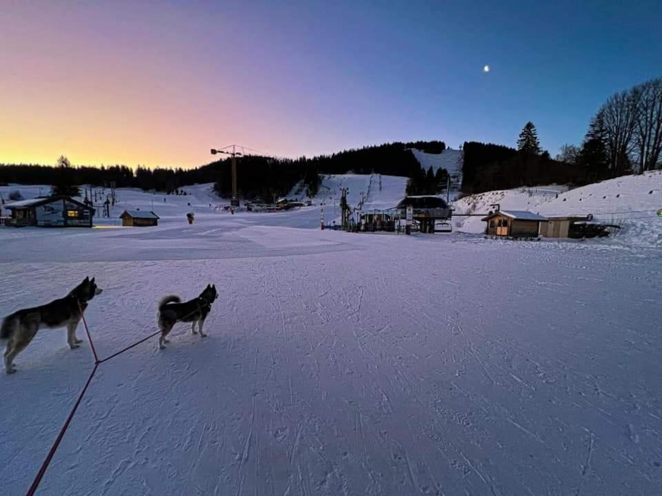 Métabief Place Royale Pour 10 A 12 Personnes A 30 Met Des Pistes De Ski Et Vtt מראה חיצוני תמונה